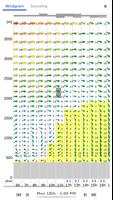 Meteo Parapente 截圖 1