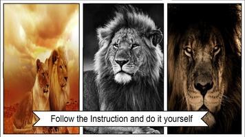 Best Lion Wallpapers اسکرین شاٹ 1