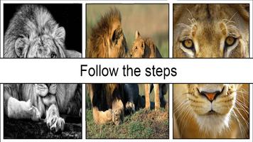 Best Lion Wallpapers اسکرین شاٹ 3