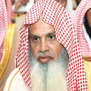 القارء علي الحذيفي APK