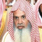 القارء علي الحذيفي icon