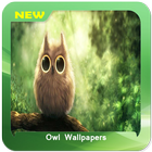 Owl Wallpapers آئیکن