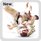 Jiu-jitsu Training icône