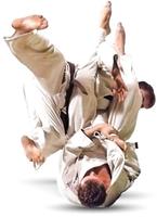 Jiu-jitsu Training Affiche