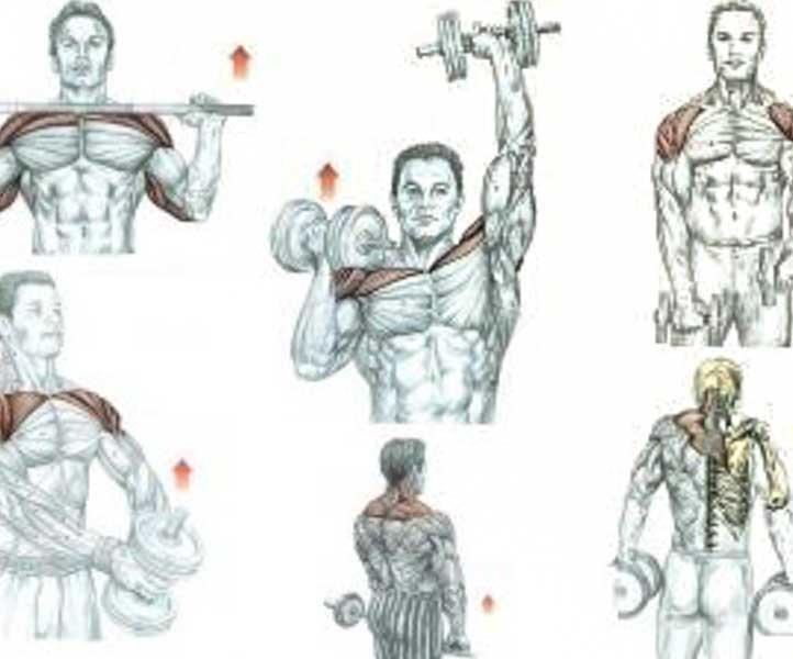 Плечи дома мужчине. Упражнения для качания грудных мышц для мужчин. Ключичная часть грудной мышцы упражнения. Как прокачать верхнюю часть грудных мышц. Прокачка мышц грудной клетки.