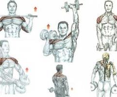 Shoulder Workouts capture d'écran 1