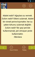 Mevlana Sözleri ภาพหน้าจอ 3