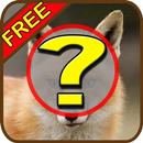 Game - Animal Finder APK