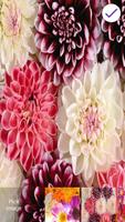 Colored Flowers Fragrant poster