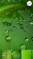 Green Background 截图 2