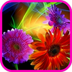 Flower Color 3D ikon