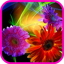 Flower Color 3D-APK