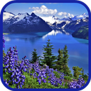 Mountain Nature Mountains APK