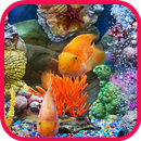 Sea Fish Are Amazing APK