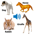 Animal sound for kids