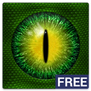 Animal Vision Free APK