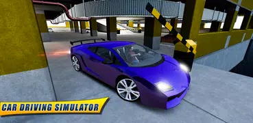 Race Car Driving Simulator 3D