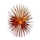 MGCS Fireworks Live Wallpaper APK