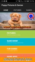 Puppy Pictures & Games Affiche