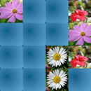 MemGame 04 - Flowers APK