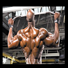 Entrenamiento de gimnasio icono
