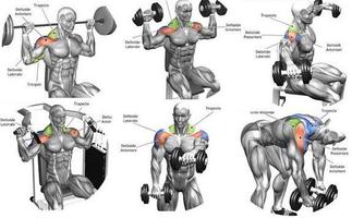 Entrenamiento de gimnasio captura de pantalla 1