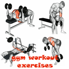Gym Workout Exercises আইকন