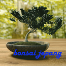 Japanese Bonsai Idea: BEST APK