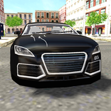 Luxury City Car