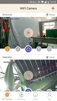 LiveYes постер