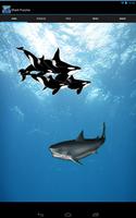 Poster Shark Puzzles