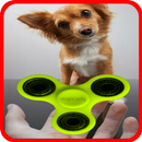 APK Hand Spinner
