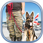 Sharp Sniffing Dog Simulator icon