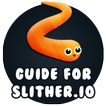 Guide for Slither io