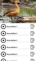 Suara Burung Belibis poster