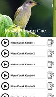 Suara Burung Cucak Kombo screenshot 1