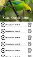 Suara Burung Cucak Rante screenshot 2