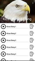 Suara Burung Elang imagem de tela 2