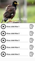 Suara Burung Jalak Nias Affiche