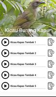 Suara Burung Kapas Tembak 海報