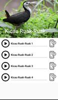 Suara Burung Ruak Ruak imagem de tela 1