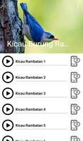 Suara Burung Rambatan imagem de tela 1