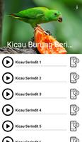 Suara Burung Serindit imagem de tela 1