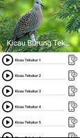 Suara Burung Tekukur screenshot 2