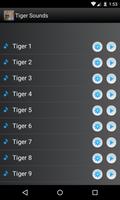 Тигр звуки мелодии постер