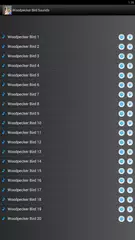 Woodpecker Bird Sounds APK download