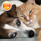 Animal Sounds Ringtones أيقونة