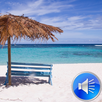 Beach Sounds Ringtones APK