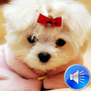 Dog Sounds Ringtones APK