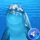 آیکون‌ Dolphin Sounds